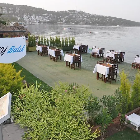 Hotell Costa Blu Bodrum Bodrum