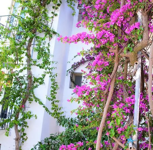 Otel Costa Blu Bodrum Bodrum