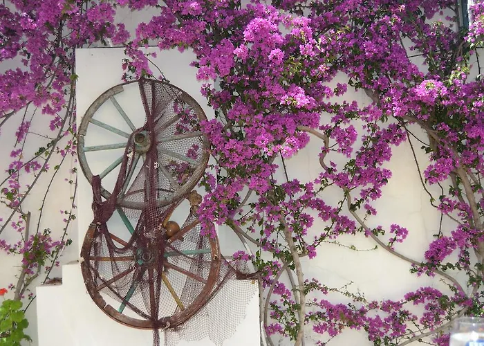 Costa Blu Bodrum 3* Bodrum