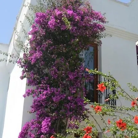 酒店 Costa Blu Bodrum 博德鲁姆