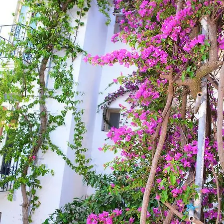 Hotel Costa Blu Bodrum Türkbükü