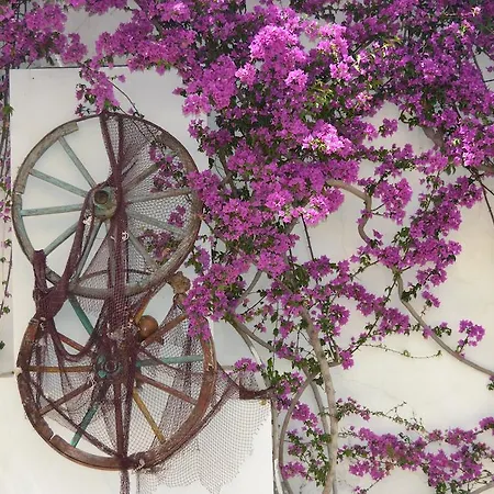 Costa Blu Bodrum 3* 博德鲁姆