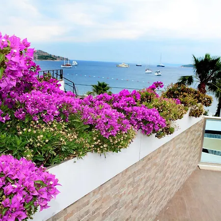 Costa Blu Bodrum 酒店 博德鲁姆