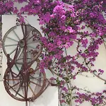 Costa Blu Bodrum 3* Bodrum